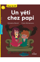 Poche poussin - un yeti chez papi