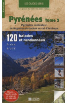 Pyrenees t.3 - pyrenees centrales : de bagneres-de-luchon au col d-aubisque