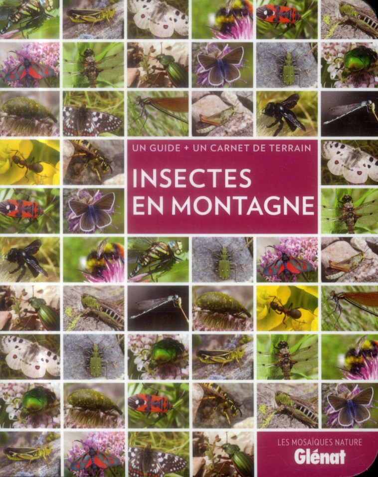 INSECTES EN MONTAGNE - DELENATTE BLANDINE - Glénat