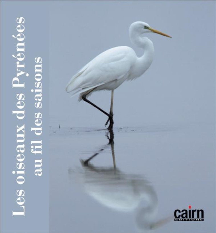 LES OISEAUX DES PYRENEES AU FIL DES SAISONS - PYRENEES CENTRALES ET OCCIDENTALES - NIQUEUX-CADENE - CAIRN