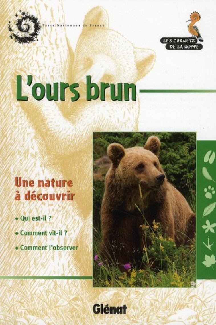 L'OURS BRUN - CAUSSIMONT GERARD - Glénat