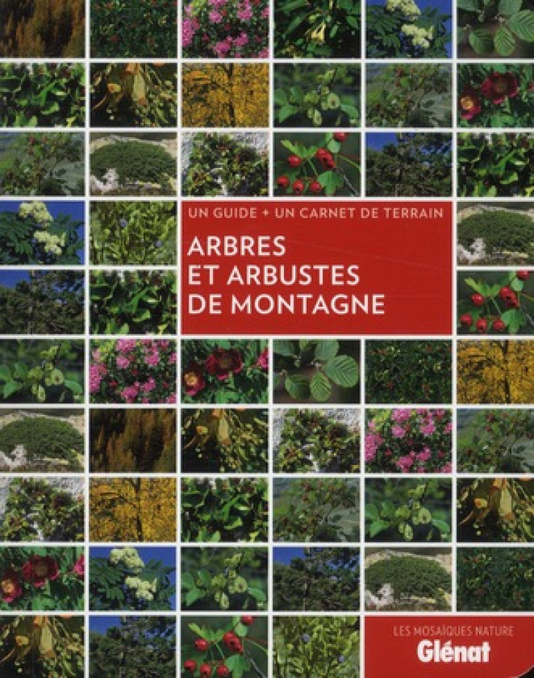 ARBRES ET ARBUSTES DE MONTAGNE - STEFANIAK SANDRINE - Glénat