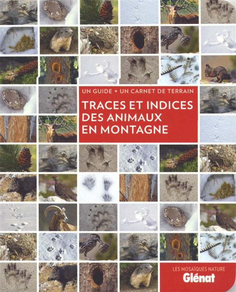 TRACES ET INDICES DES ANIMAUX EN MONTAGNE - BALAIS CATHERINE - Glénat