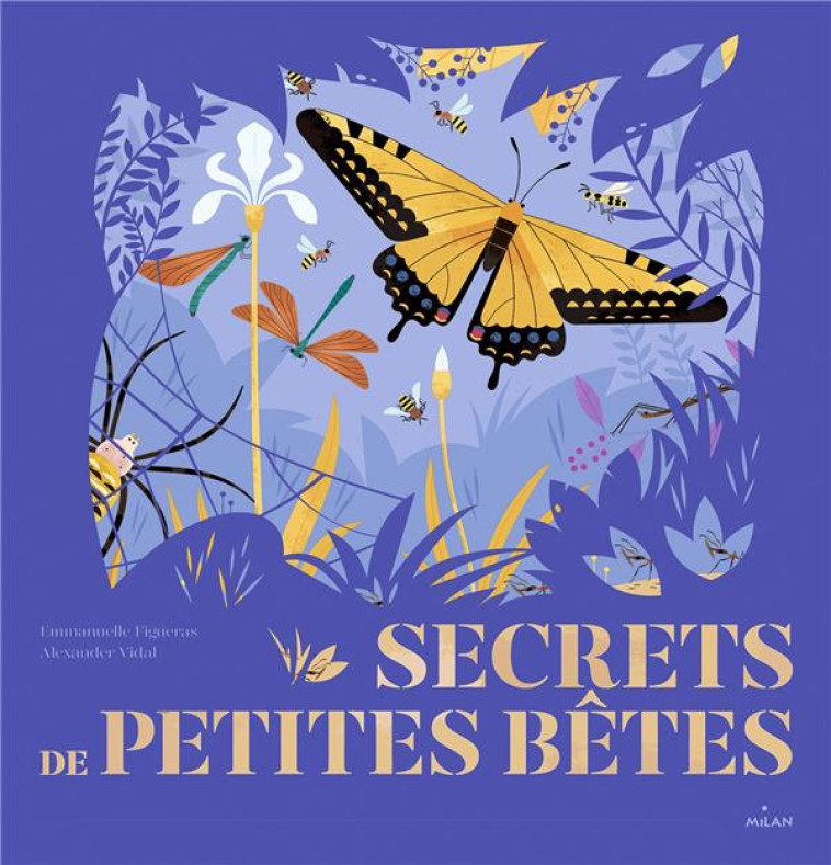 SECRETS DE PETITES BETES - FIGUERAS/VIDAL - BD Kids