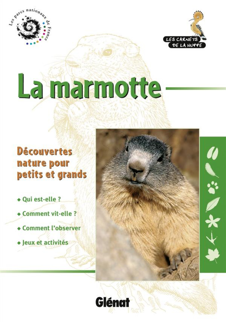 LA MARMOTTE - PINCHART ANNE - GLENAT