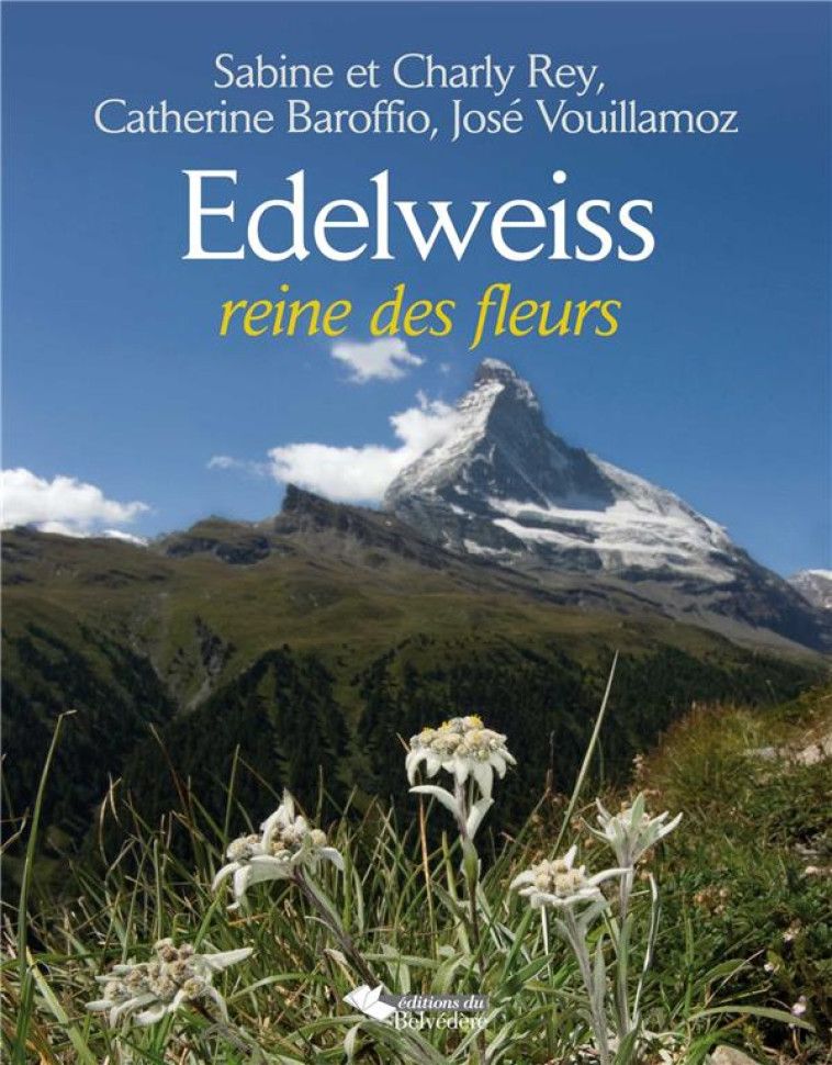 EDELWEISS - REINE DES FLEURS - XXX - DU BELVEDERE