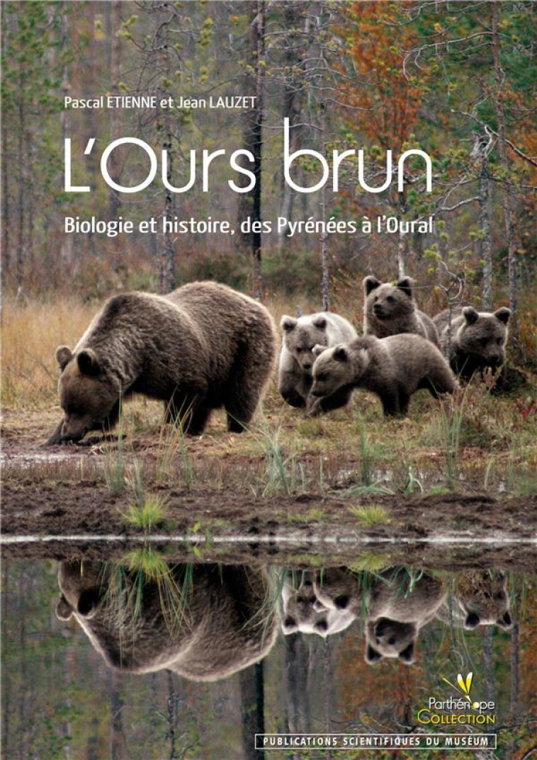 L'OURS BRUN. BIOLOGIE ET HISTOIRE, DES PYRENEES A L'OURAL - ETIENNE/LAUZET - BIOTOPE