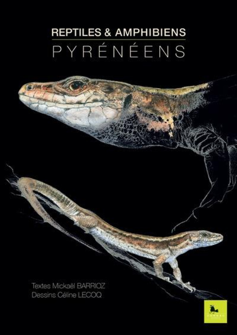 REPTILES & AMPHIBIENS PYRENEENS - BARRIOZ/LECOQ - CORBAC