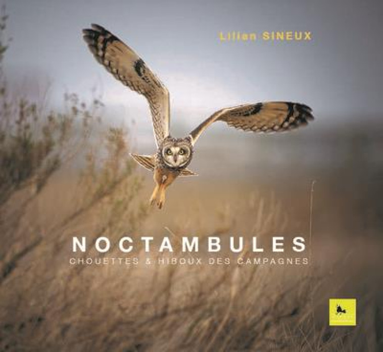 NOCTAMBULES - CHOUETTES ET HIBOUX DES CAMPAGNES - SINEUX LILIAN - CORBAC