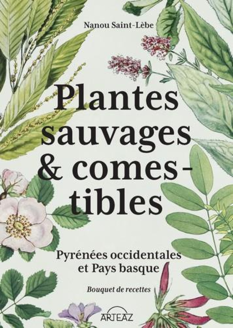 PLANTES SAUVAGES ET COMESTIBLES - SAINT-LEBE NANOU - BLACKLEPHANT